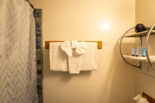 single_basic_room_ocean_cove_lodge_13