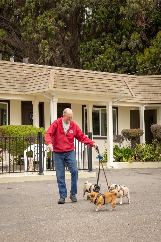 Pets enjoying the Ocean Cove Lodge Doggie Park with grassy area